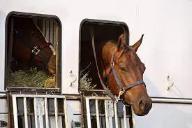 Drop Down Feeder Window 1