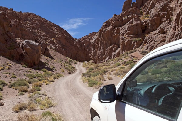 How to choose a ute canopy locks